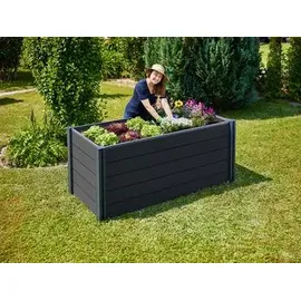 Gutta Elevada 200 x 80 x 78 cm anthrazit