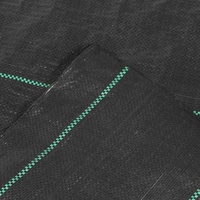 Siena Garden Unterbodengewebe 2 x 10 m 100g, schwarz