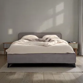 Idimex Polsterbett LAVORO Einzelbett 140x200, grau - Bett mit Lattenrost und Samtstoffbezug, Bettgestell mit gepolstertem Kopfteil, modernes Design, Robus... - Grau