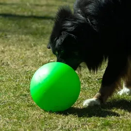 Procyon Treibball Größe S - extra stabil - gelb