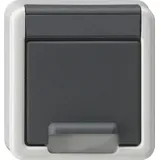 Gira Schuko-Steckdose Aufputz Grau 1 St.