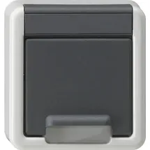 Gira Schuko-Steckdose Aufputz Grau 1 St.