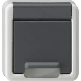 Gira Schuko-Steckdose Aufputz Grau 1 St.