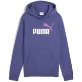 Puma Essentials 2 Color No. 1 Logo Fleece Hoodie Jungen 46 - blue crystal 176