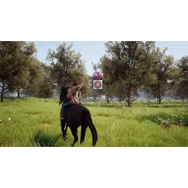 Windstorm: An Unexpected Arrival (PS4)