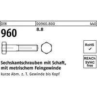 Industrial Quality Supplies DIN 960 8.8 M 12 x