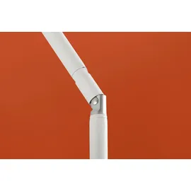 Schneider Schirme Ibiza Ø 200 cm terracotta