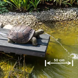 esotec Solar Wasserspeier Set Schildkröte Maru + Pumpe 54x32x23cm 101673