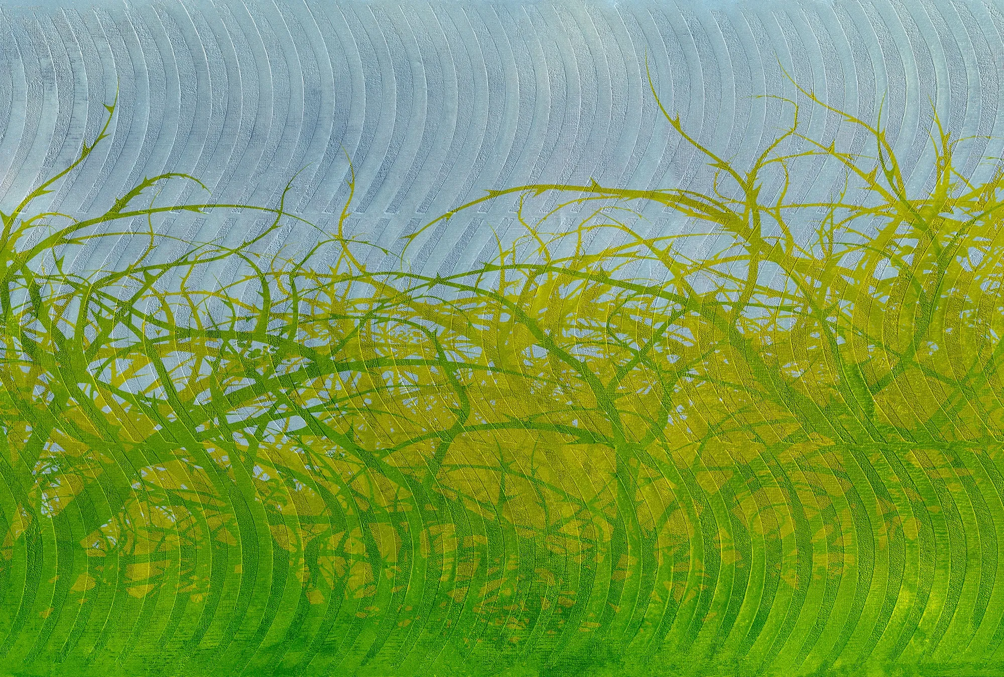 ARCHITECTS PAPER Fototapete "Atelier 47 Thorn hedge 3" Tapeten Vlies, Wand, Schräge, Decke Gr. B/L: 4 m x 2,7 m, bunt (grün, gelbgrün, blau) Fototapeten