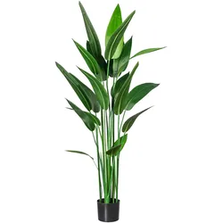 CREATIV green Künstliche Pflanze Wassercanna 140cm im Topf