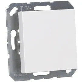 Jung Blind-Abdeckung aws kompl.mit Tragring A 594-0 WW