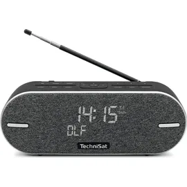 TechniSat DigitRadio BT 2 grau