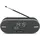 TechniSat DigitRadio BT 2 grau