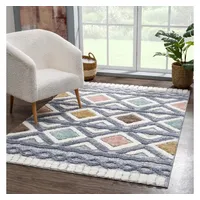 Carpet City Teppich Hochflor Wohnzimmer - 80x150 cm -