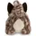 AURORA Borealis Esme Tabby Cat