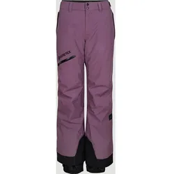 ONEILL Damen Hose Gtx Mountain Madness Snow P, 4554 Berry Conserve, XS