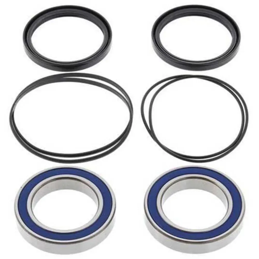 All Balls 25-1320 Honda Trx 400/300 Hinterradlagersatz - Silver / Black - One Size