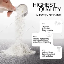 ORGAINIC Whey Protein Cacao Pulver 1000 g