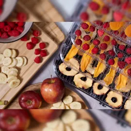 Klamer Dörrautomat, 400W Dörrautomat Edelstahl mit 5 Einlegefächern und 24h-Timer, Trockner mit Temperaturregler von 35-70°C, BPA frei