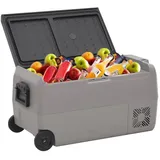 vidaXL Kompressor Kühlbox 50 l