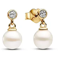 Pandora Ohrhänger Timeless gold 263153C01