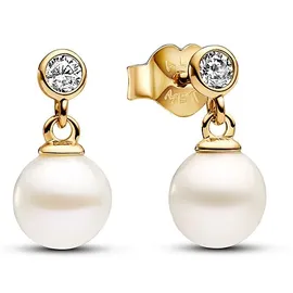 Pandora Ohrhänger Timeless gold 263153C01