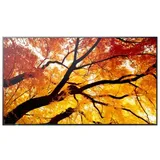 Sharp MultiSync M752 75"