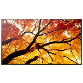 Sharp MultiSync M752 75"