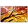 Sharp MultiSync M752 75"