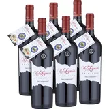 Alchymia Primitivo Puglia IGT 2024 98 LMP - 6er Karton