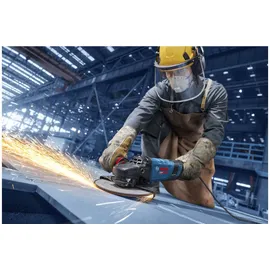 Bosch EXWS30-230PB für 230 mm