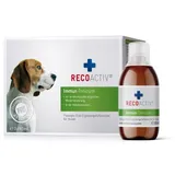 Recoactiv Immun Tonicum für Hunde 3 x 90 ml