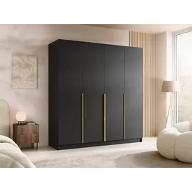 Mirjan24 Drehtürenschrank Salkor I 200 x 215 x 58 cm Schwarz/Gold