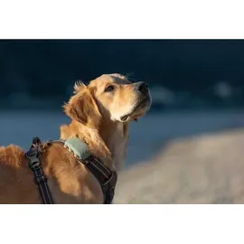 tractive GPS Tracker Hund XL wasserdicht grün