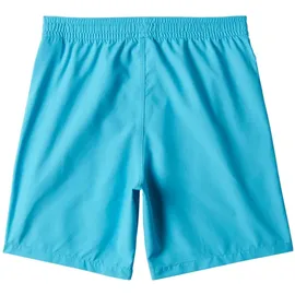 BILLABONG All Day Layback Badeshorts Blau 14