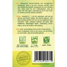 Quedlinburger Kohlrabi Superschmelz Quedlinburger Gemüsesamen
