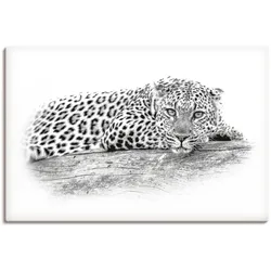 Wandbild ARTLAND "Leopard High Key Optik", schwarz (farbe bild(er): schwarz), B:90cm H:60cm, Bilder, als Alubild, Leinwandbild, Wandaufkleber oder Poster in versch. Größen