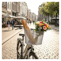 new looxs Fahrradkorb Toscane Rapid Lock Silber