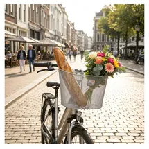 new looxs Fahrradkorb Toscane Rapid Lock Silber