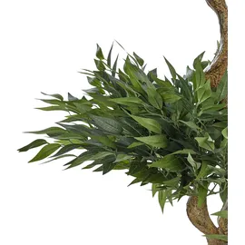 Beliani Kunstpflanze Ruscus Tree 166 cm