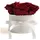ROSEMARIE SCHULZ Heidelberg Rosenbox rund Infinity Rosen Dunkelrot - Blumenbox in Weiß 4 konservierte Rosen haltbar 3 Jahre - Mama Geschenke und Geschenke für Frauen (Small, Burgundy)