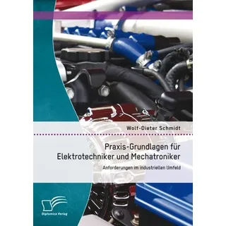 Praxis-Grundlagen für Elektrotechniker und Mechatroniker: Anforderungen im industriellen Umfeld von Wolf-Dieter Schmidt / Bedey & Thoms Media eBook /