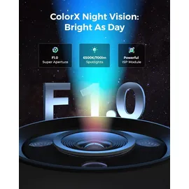 Reolink CX410 Schwarz