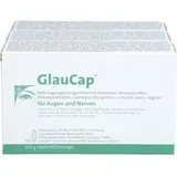 ebiga-VISION GmbH GlauCap