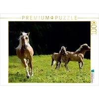 Calvendo Haflinger auf der Weide 1000 Teile Puzzle quer