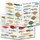 sub-base Logbuchsysteme Fischfaltblatt Ostsee