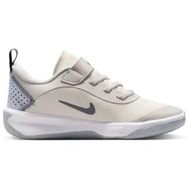 Nike Omni Multi-Court Kinder PLATINUM TINT/WHITE 35