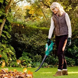 Bosch DIY Starterset 36 V Li-Ion 2,0 Ah F016800609