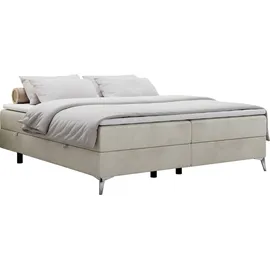 MKS Meble Boxspringbett 200 x 200 cm H3 Beige
