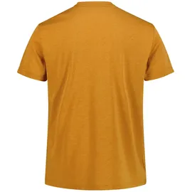 CMP 39t7527 Curcuma Mel. XL